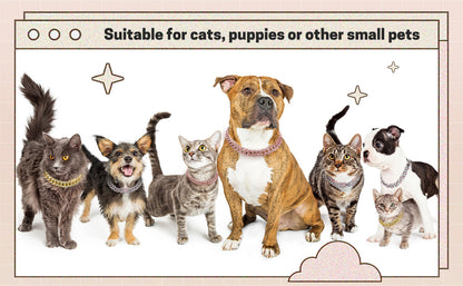 Bling Pet Collar