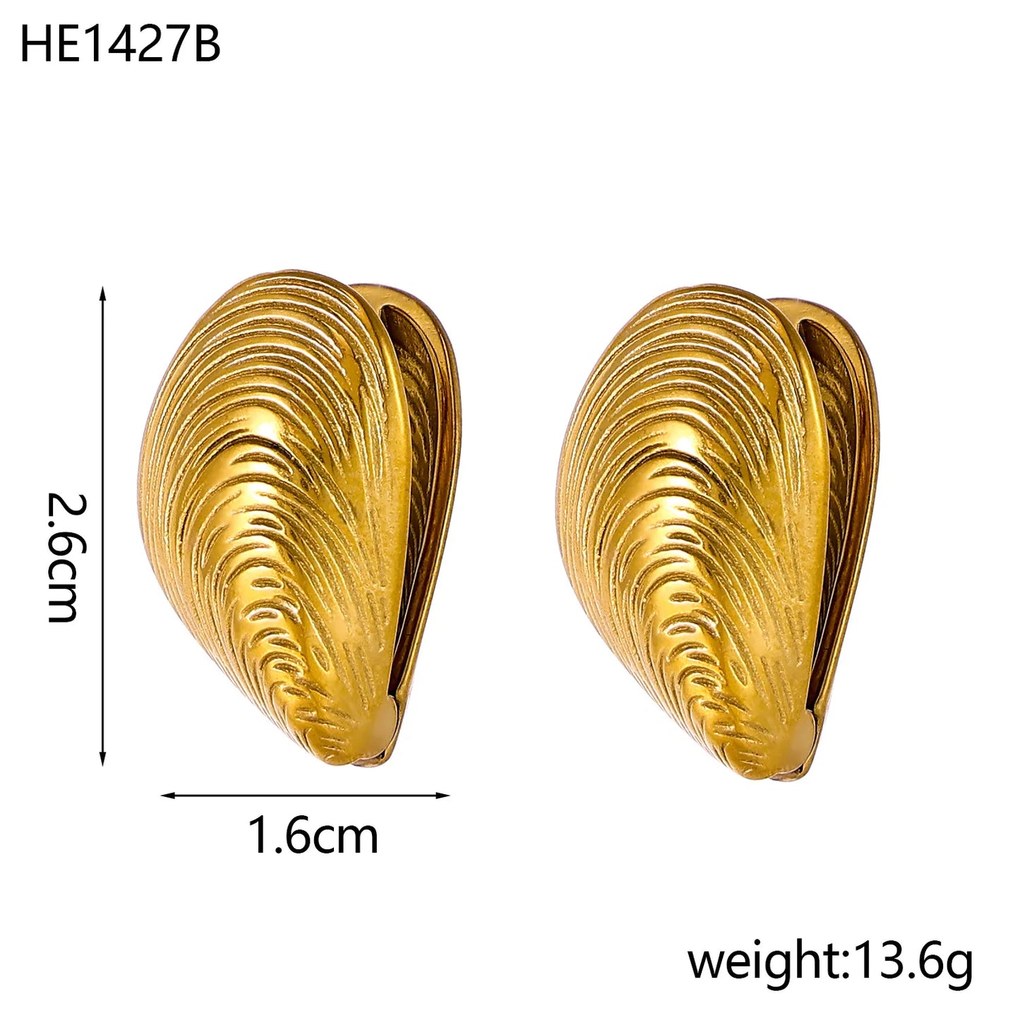 Shell Textured Stud Earrings