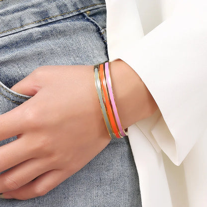 Color Stripe Stainless Steel Bangle