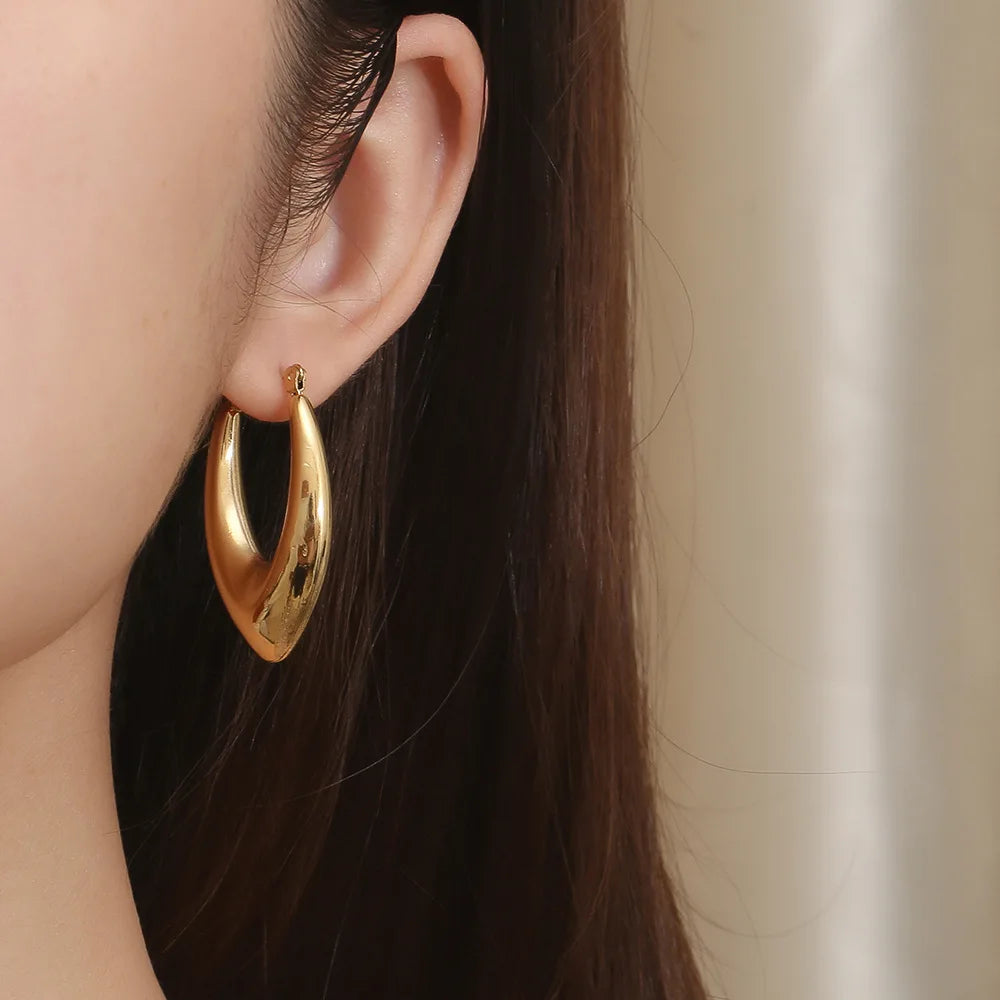 BoldGleam Enamel Hoop Earrings